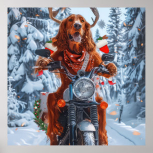 Irish Red Setter Hund Riding Motorcycle jul jul Poster