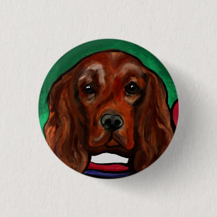Irish Red Setter Knapp