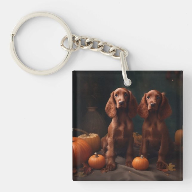 Irish Red Setter Puppy Autumn Delight Pumpkin (Framsidan)