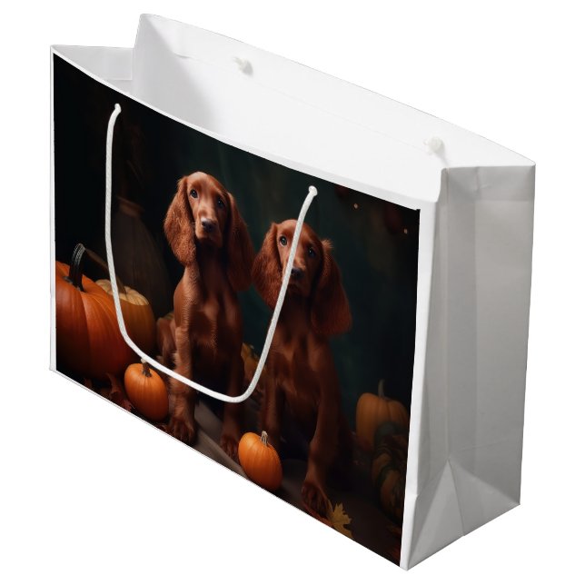 Irish Red Setter Puppy Autumn Delight Pumpkin (Framsidan Vinklad)