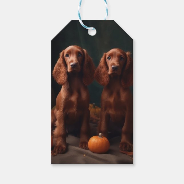 Irish Red Setter Puppy Autumn Delight Pumpkin Presentetikett (Framsidan)