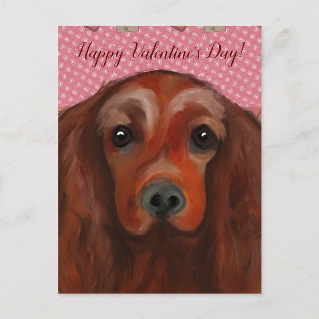 Irish Red Setter Vykort (Framsida)
