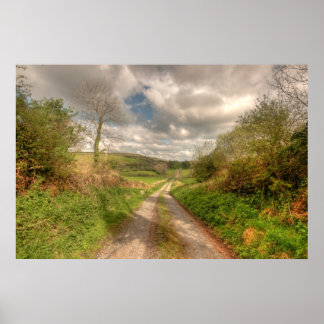 Irish Rural Road Poster