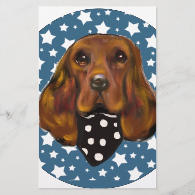 IRISH SETTER (Framsida)