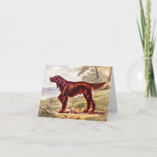 Irish Setter 1900 Illustration of Sport Hund Kort