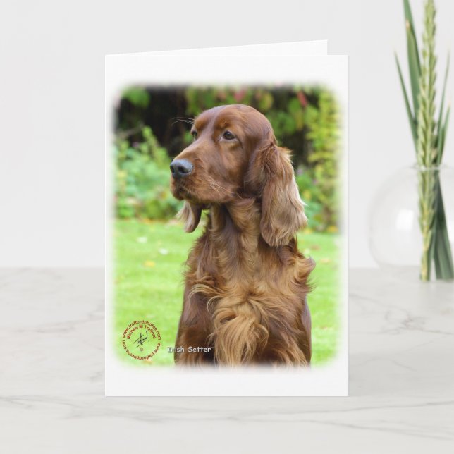 Irish Setter 9T004D-286 Kort (Framsida)