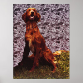 Irish Setter and Patternated Conection Wall Poster