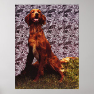 Irish Setter and Patternated Conection Wall Poster