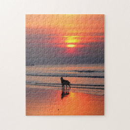 Irish Setter at Sunset on Irish Sea Puzzle Pussel