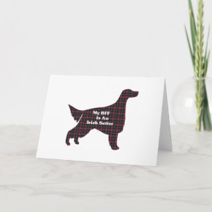 Irish Setter BFF-gratulationskort Kort