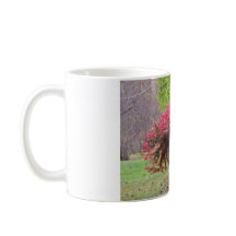 Irish Setter by a Burning Bush