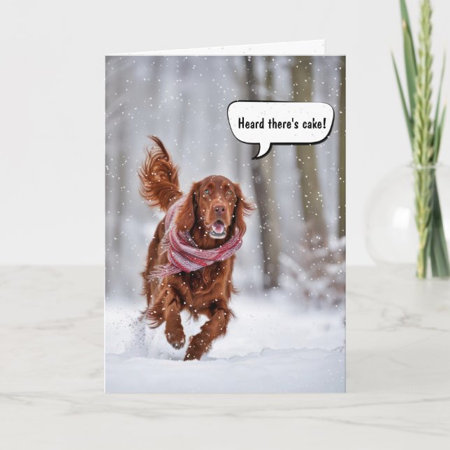 Irish Setter från födelsedagen går i Snö Kort (Framsida)