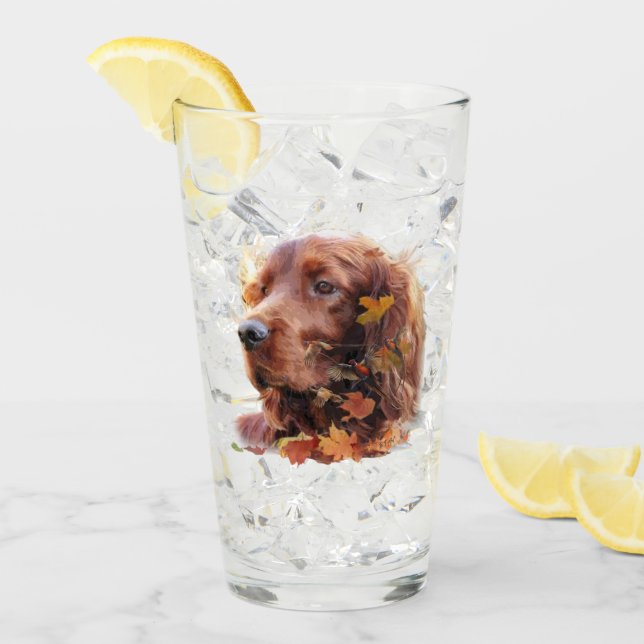 Irish Setter Glaskopp (Framsida Ice)