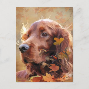 Irish Setter Helg Vykort