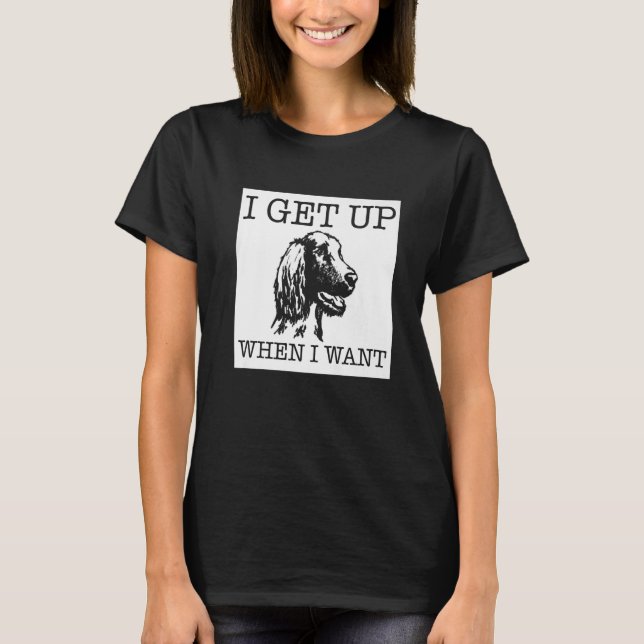 Irish Setter hund 1 T Shirt (Framsida)