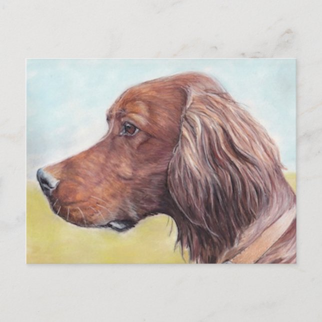 Irish Setter Hund Art-vykort Vykort (Framsida)