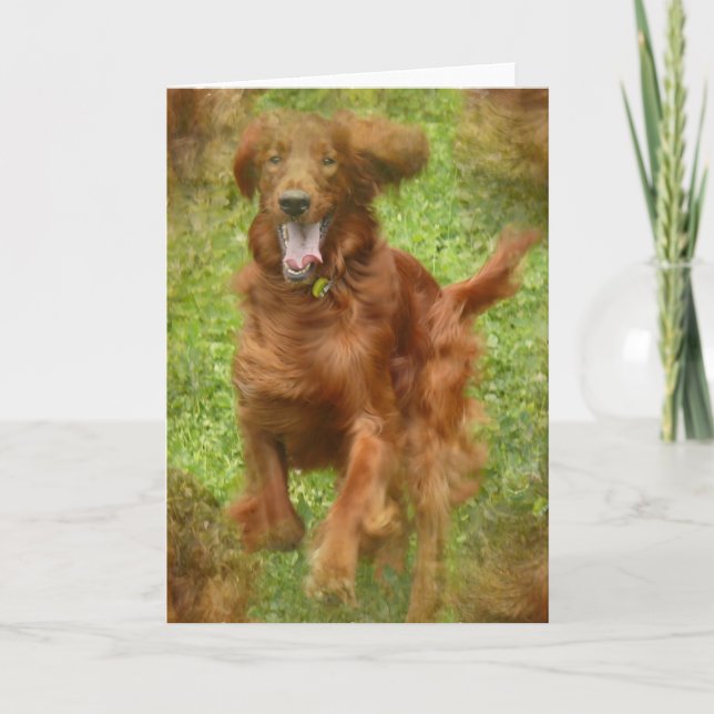 Irish Setter Hund Greeting Card Kort (Framsida)