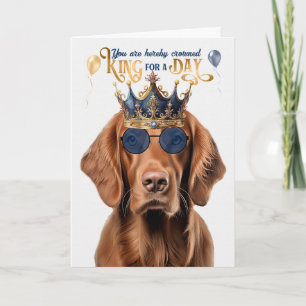 Irish Setter Hund Kung för en daglig födelsedag Kort