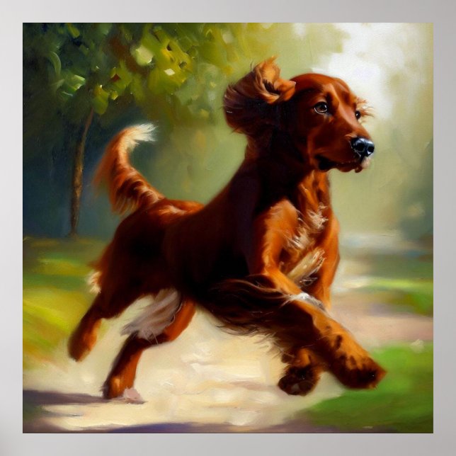 Irish Setter Hund Poster (Framsidan)