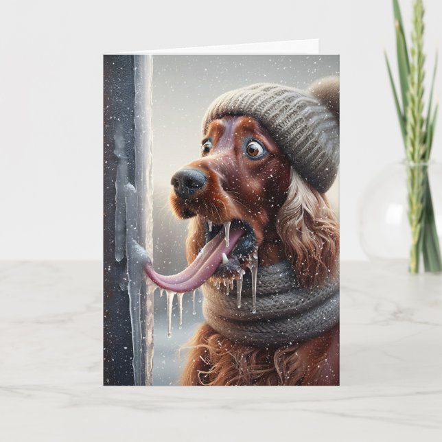 Irish Setter Hund Slickande en frusen pola Helgkort (Framsida)