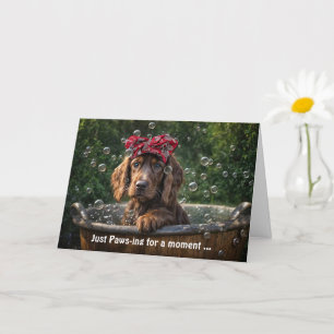Irish Setter Hund Valp Cute Thinking You in a Tub Kort