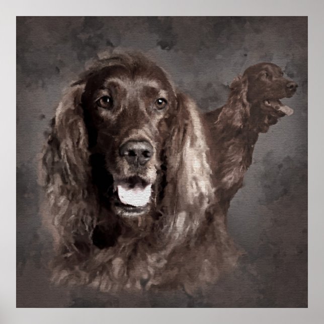 Irish Setter Hundar Digital Art Poster (Framsidan)