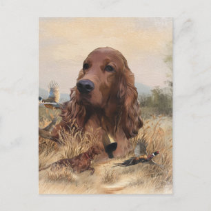 Irish Setter Hunting Pheasant ,Art Vykort