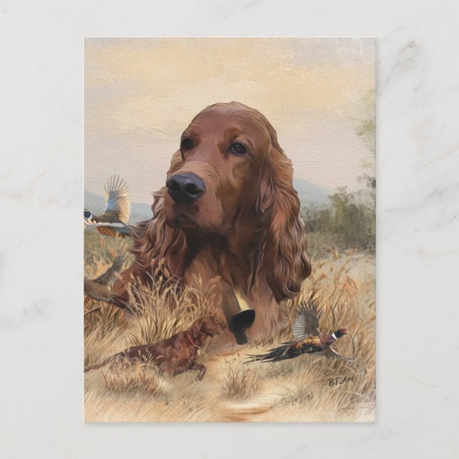 Irish Setter Hunting Pheasant ,Art Vykort (Framsida)