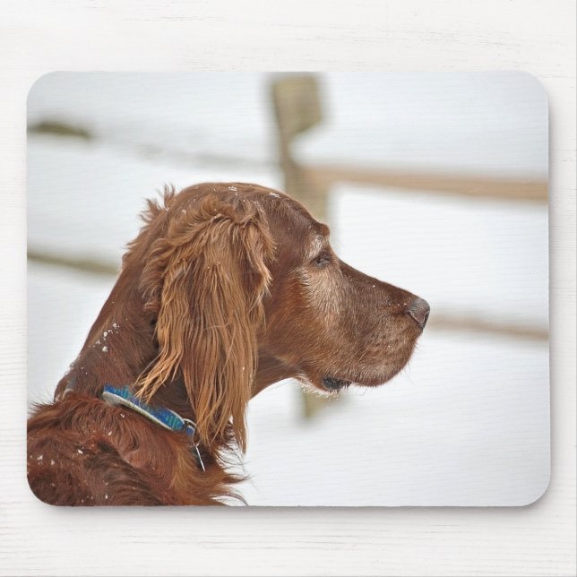 Irish Setter i snö Musmatta (Framsidan)