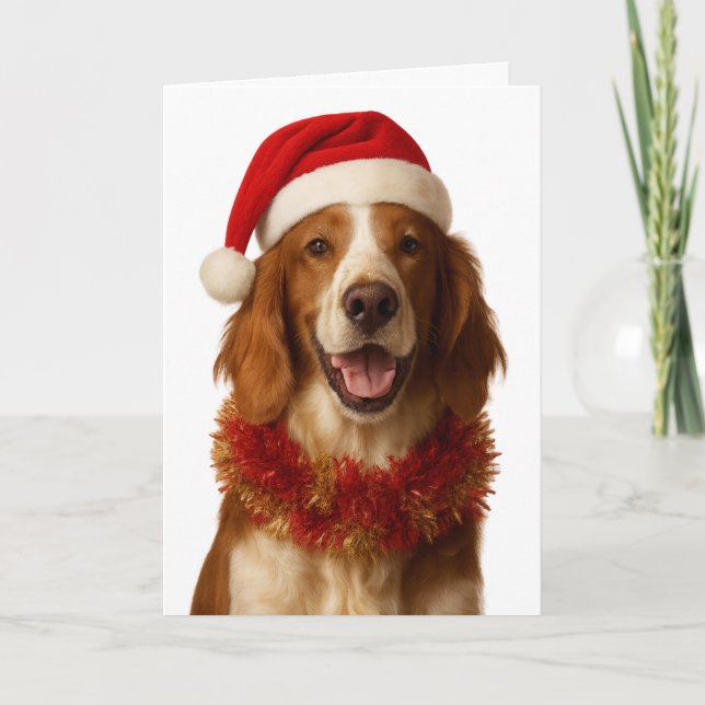 Irish Setter in a Santa hat Christmas card Kort (Framsida)