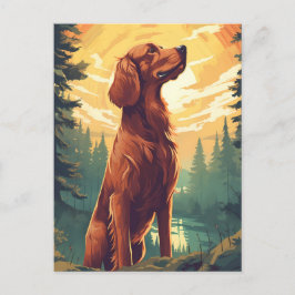 Irish Setter in Forest under sunset Vykort