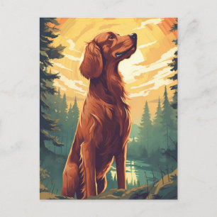 Irish Setter in Forest under sunset Vykort
