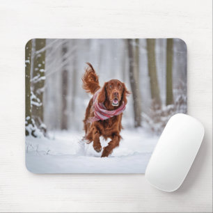 Irish Setter in Snö Musmatta