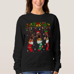 Irish Setter in Sock Julafton Reindeer Santa Elf H T Shirt