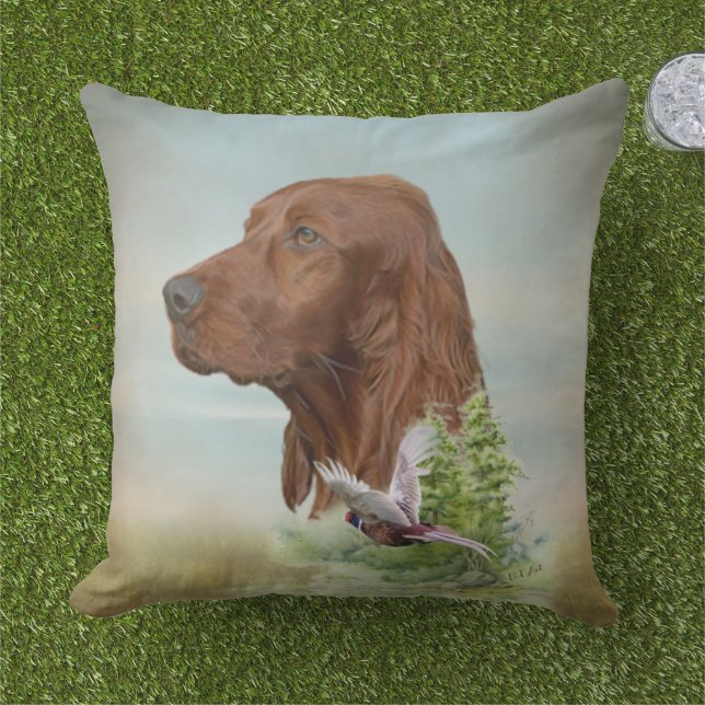 Irish Setter-jakt Kudde (Gräs)