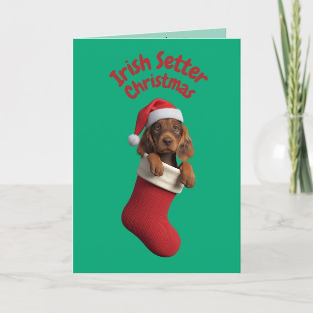 Irish Setter-julklapp Kort (Framsida)