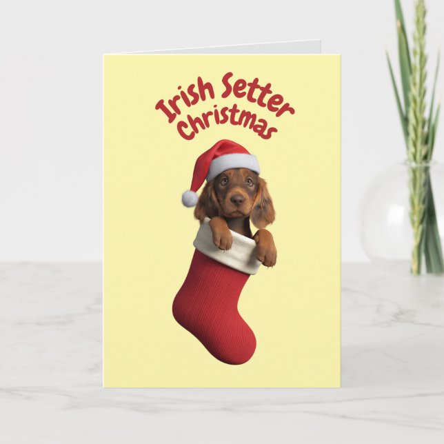 Irish Setter-julklapp Kort (Framsida)