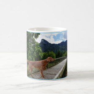 Irish setter kaffemugg