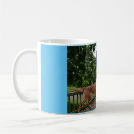 Irish setter kaffemugg