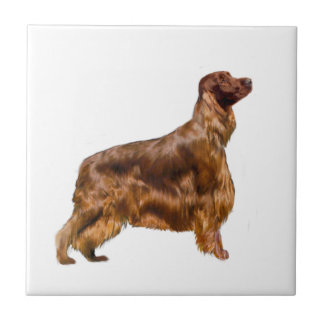 Irish Setter Kakelplatta