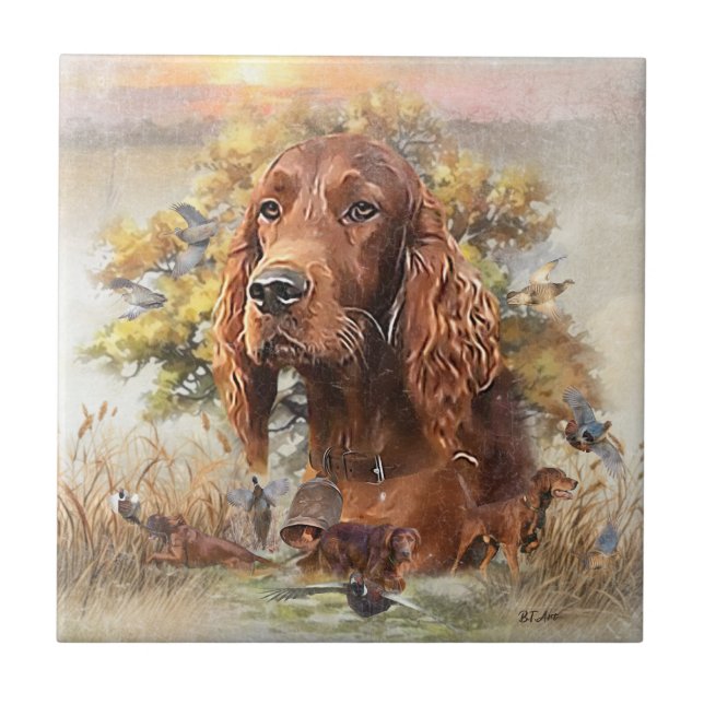 Irish Setter Kakelplatta (Framsidan)