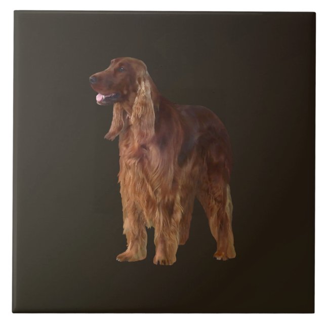 Irish Setter Kakelplatta (Framsidan)