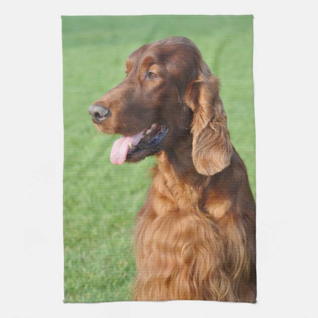 Irish Setter Kökshandduk (Vertikal)