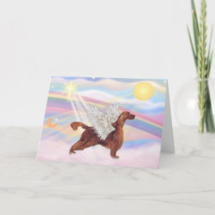 Irish Setter Kort