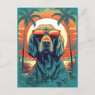 Irish Setter med solglasögon på stranden Vykort