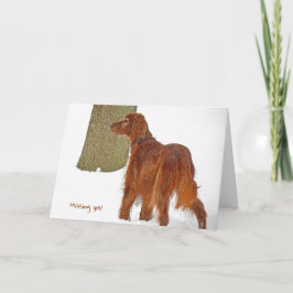 Irish Setter Miss You Kort