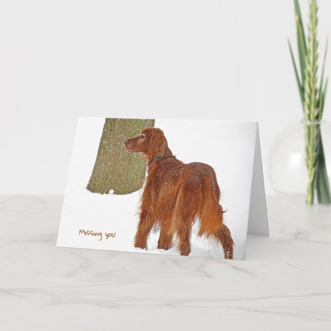 Irish Setter Miss You Kort (Framsida)