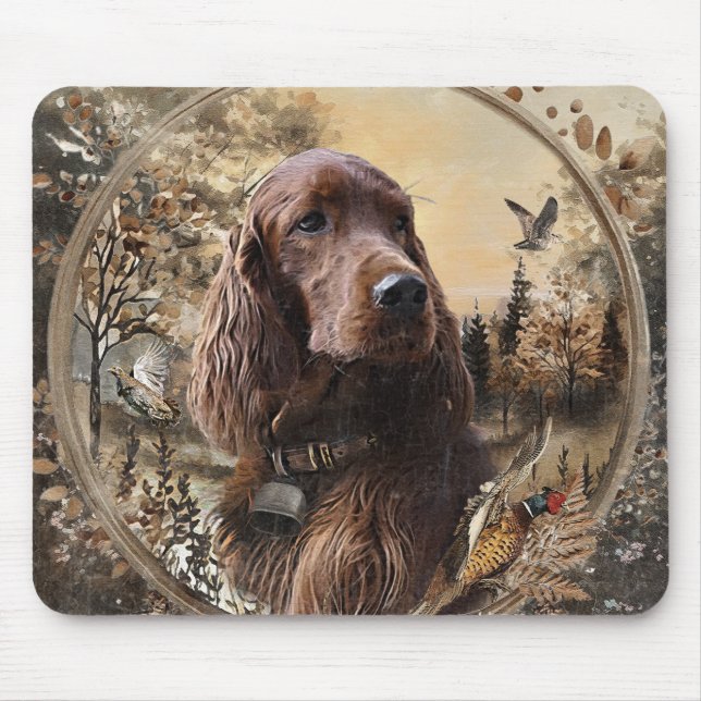 Irish Setter Musmatta (Framsidan)