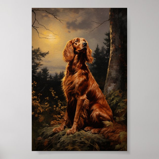 Irish Setter på natten Poster (Framsidan)