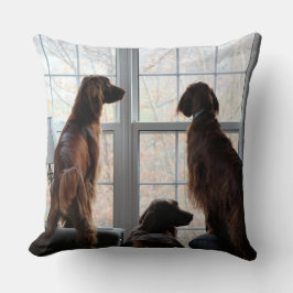 Irish Setter Pillow Kudde